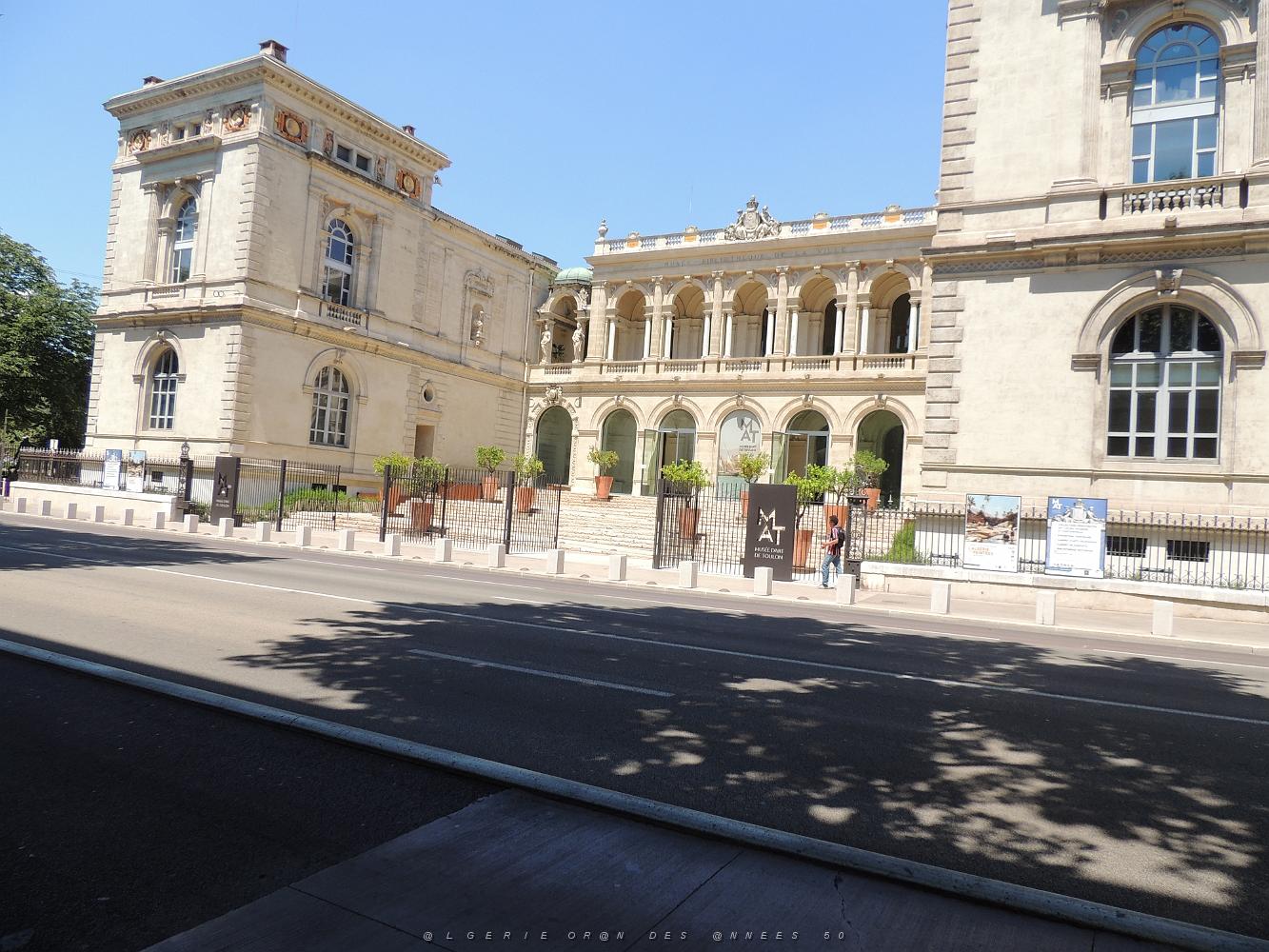 2022 07 07 TOULON L ALGERIE DES PEINTRES 1830-1930 (4).jpg